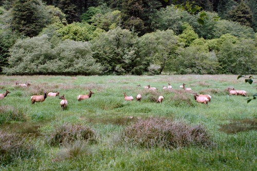Oceanfront Lodge image 16
