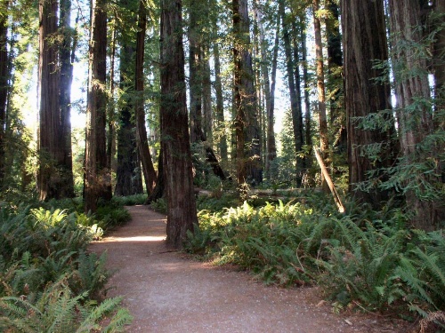 Oceanfront Lodge image 17