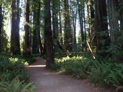 Oceanfront Lodge image 18